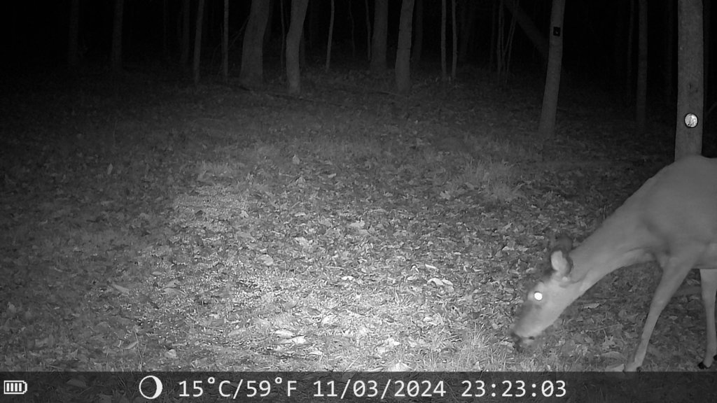 2024-11-04_09.15.48.028_9F25EDB1.jpg