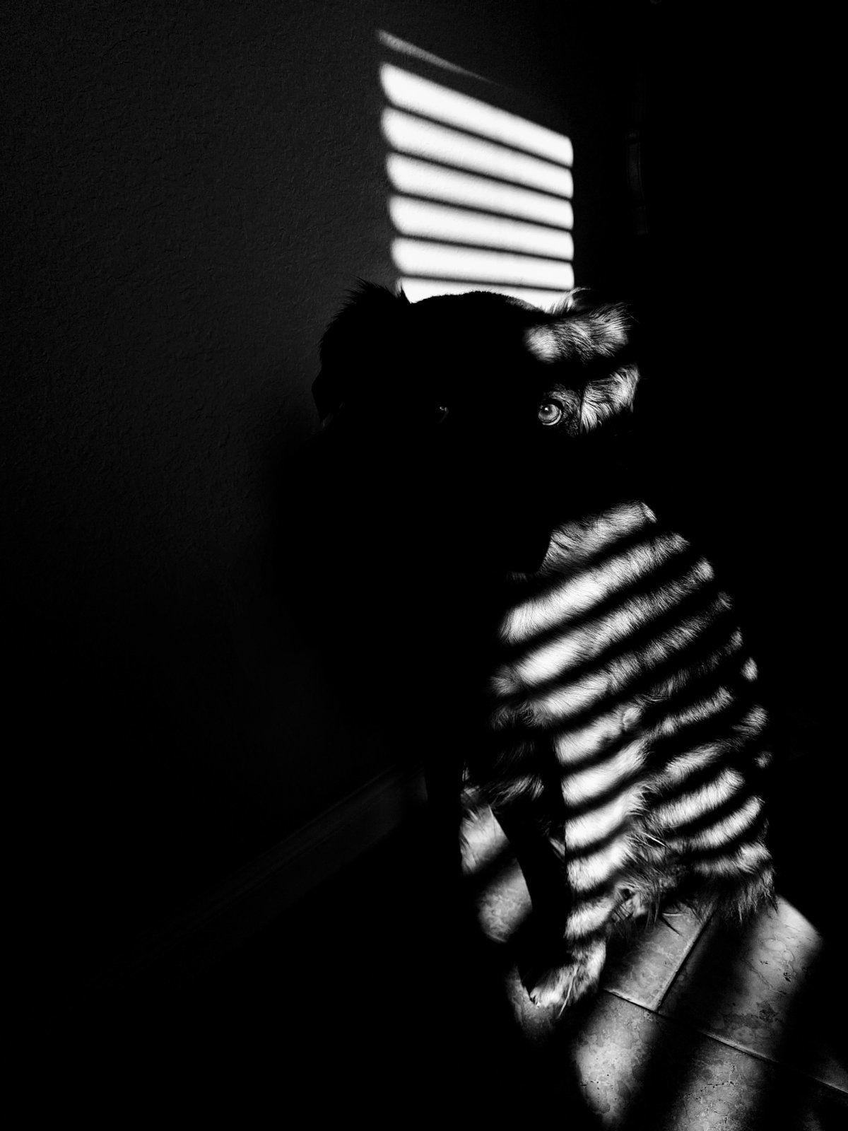 20240106_091448~2.jpg