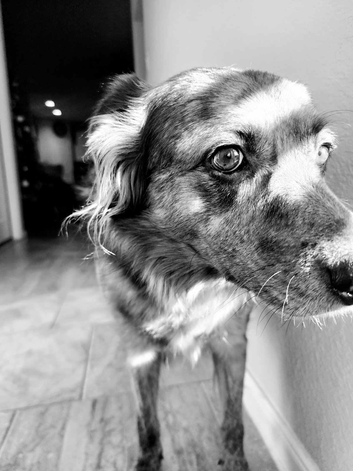 20240106_091530~2.jpg