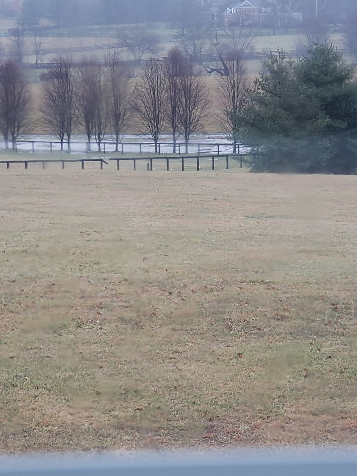 20240109_153622.jpg