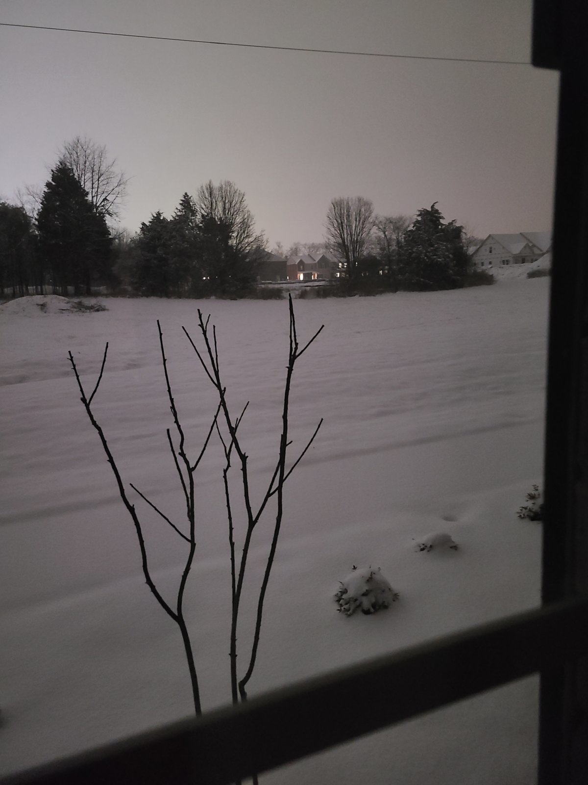 20240115_050402.jpg