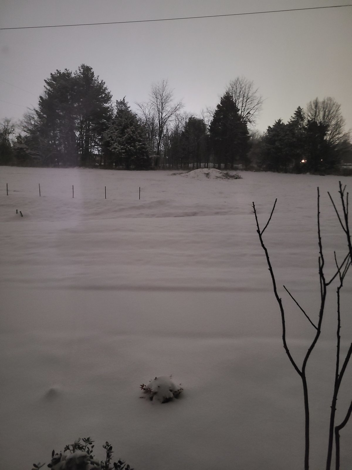 20240115_050415.jpg
