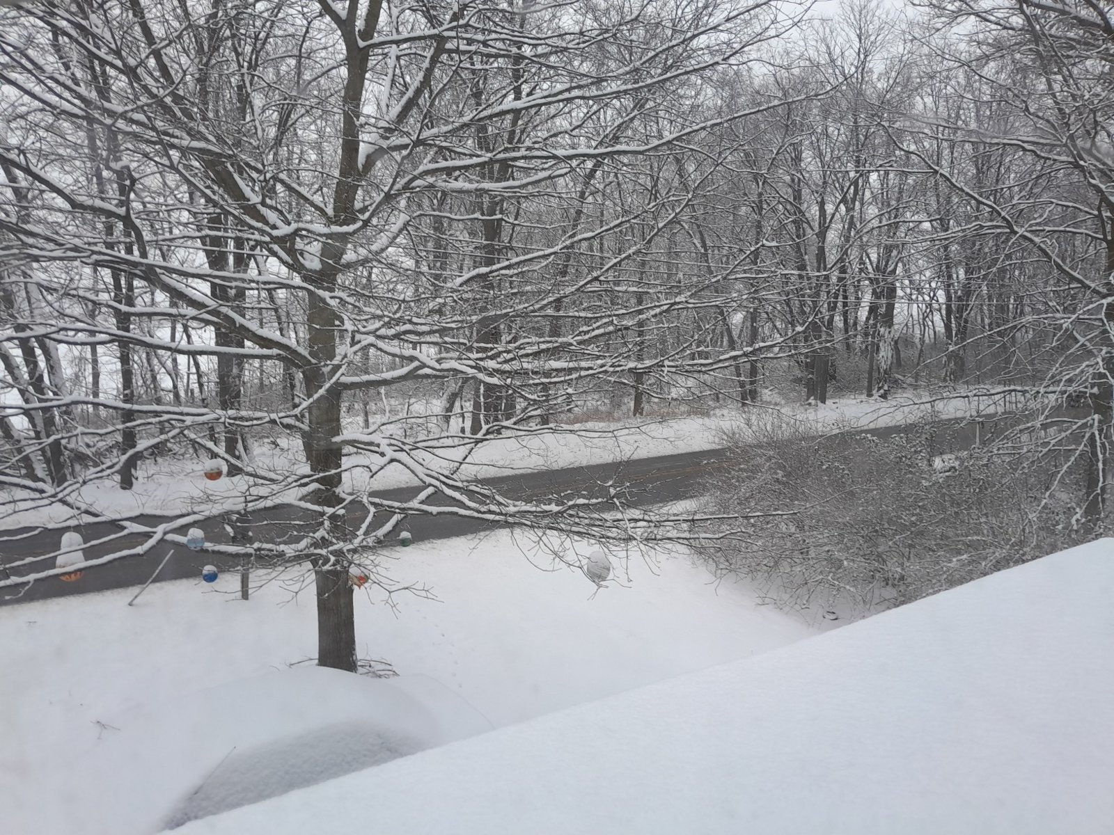 20240116_083747.jpg