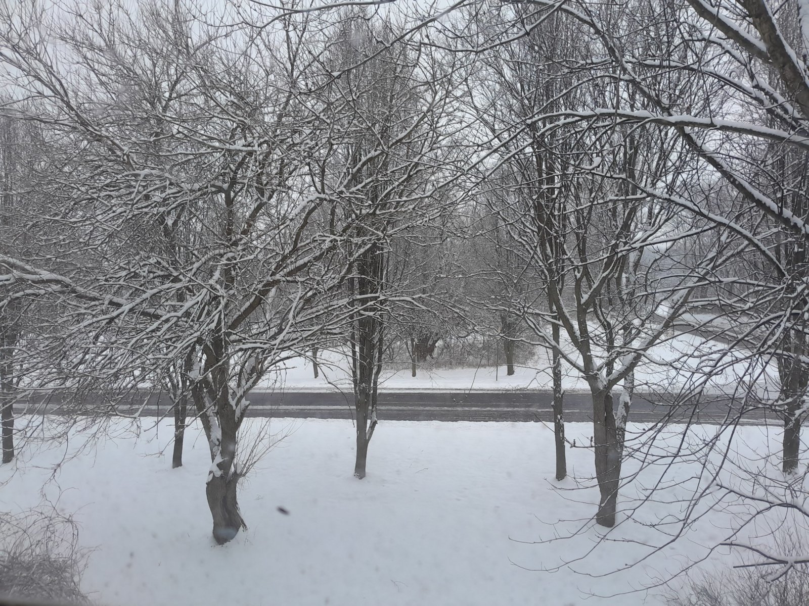 20240116_083816.jpg