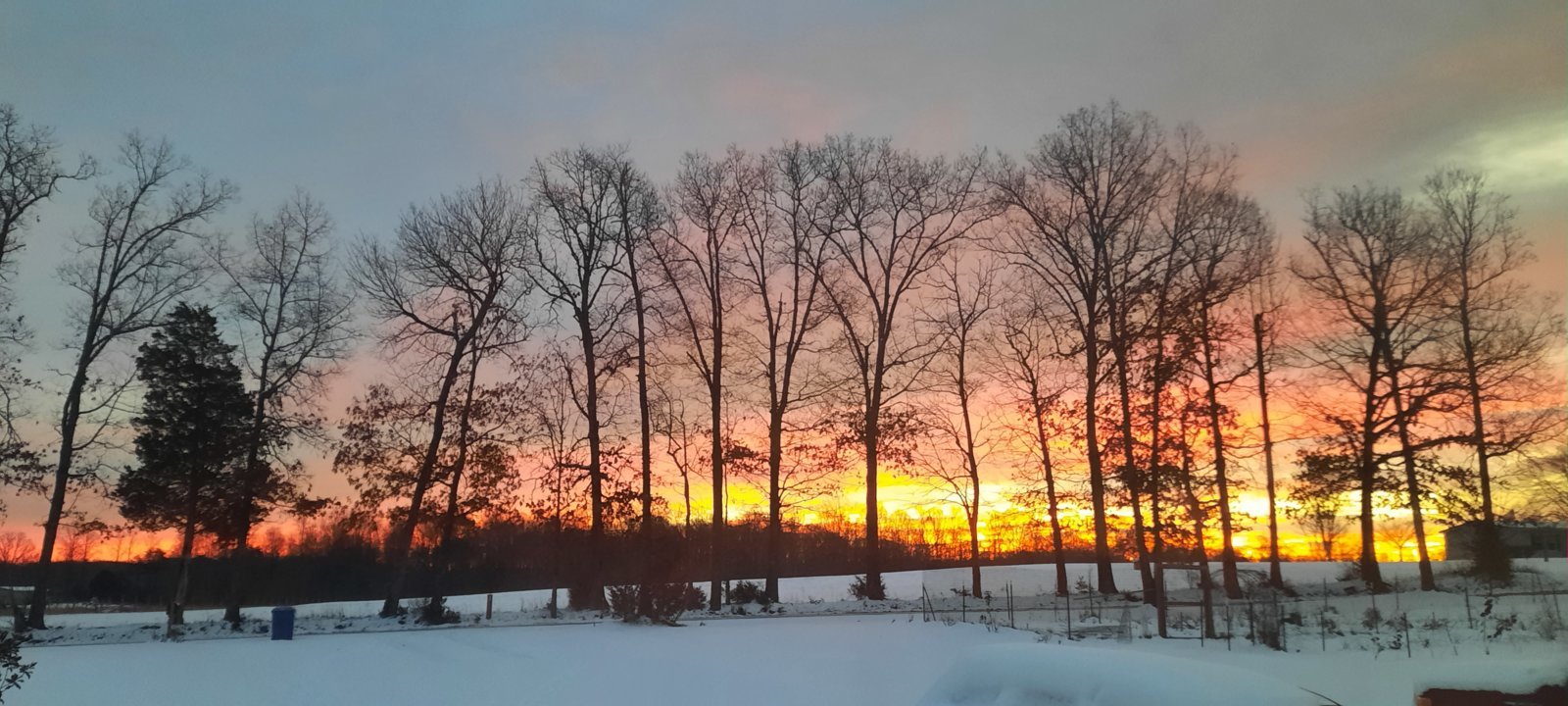 20240118_074356.jpg