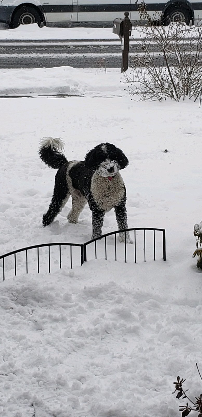 20240119_120130.jpg