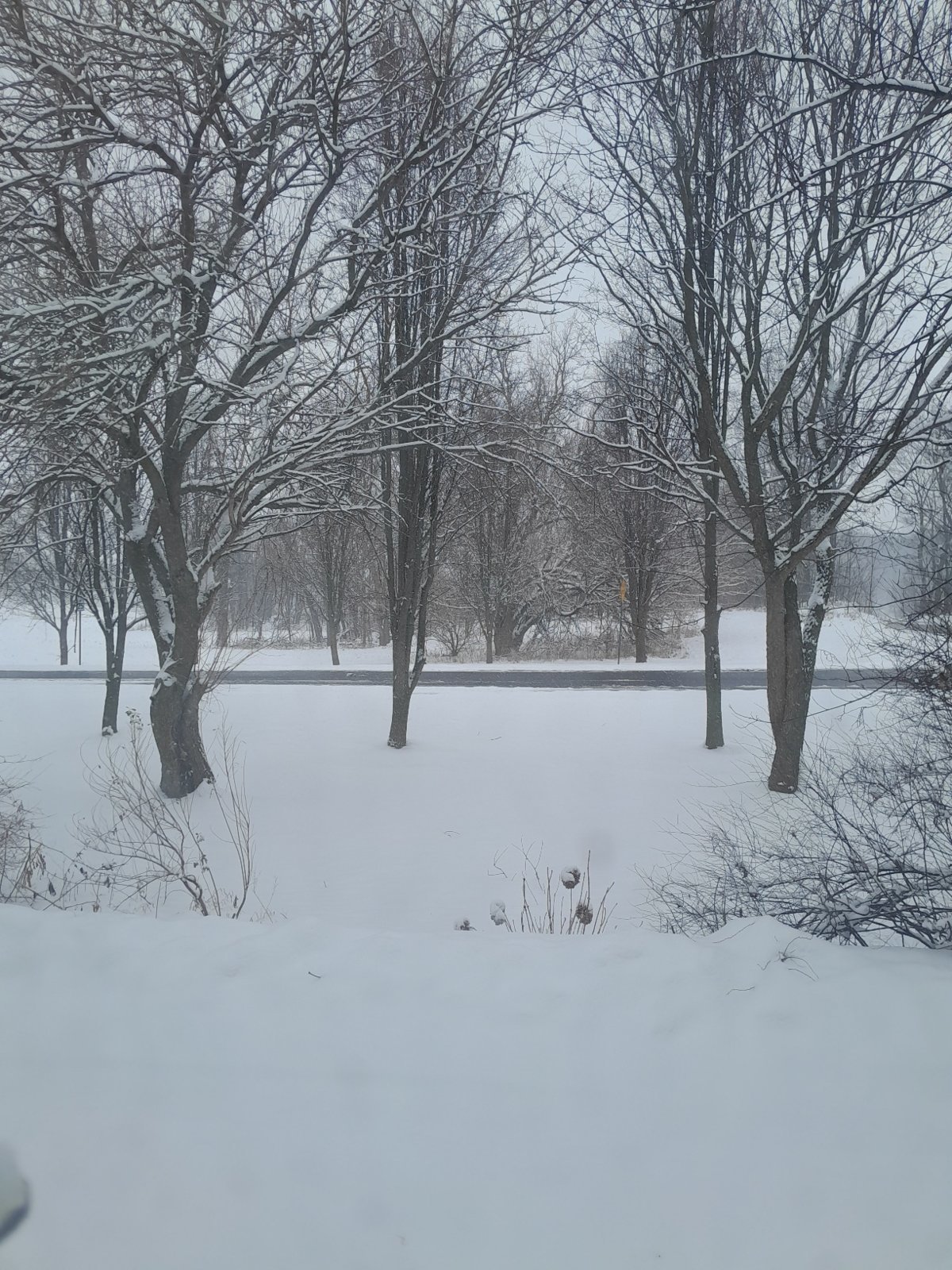 20240119_130751.jpg