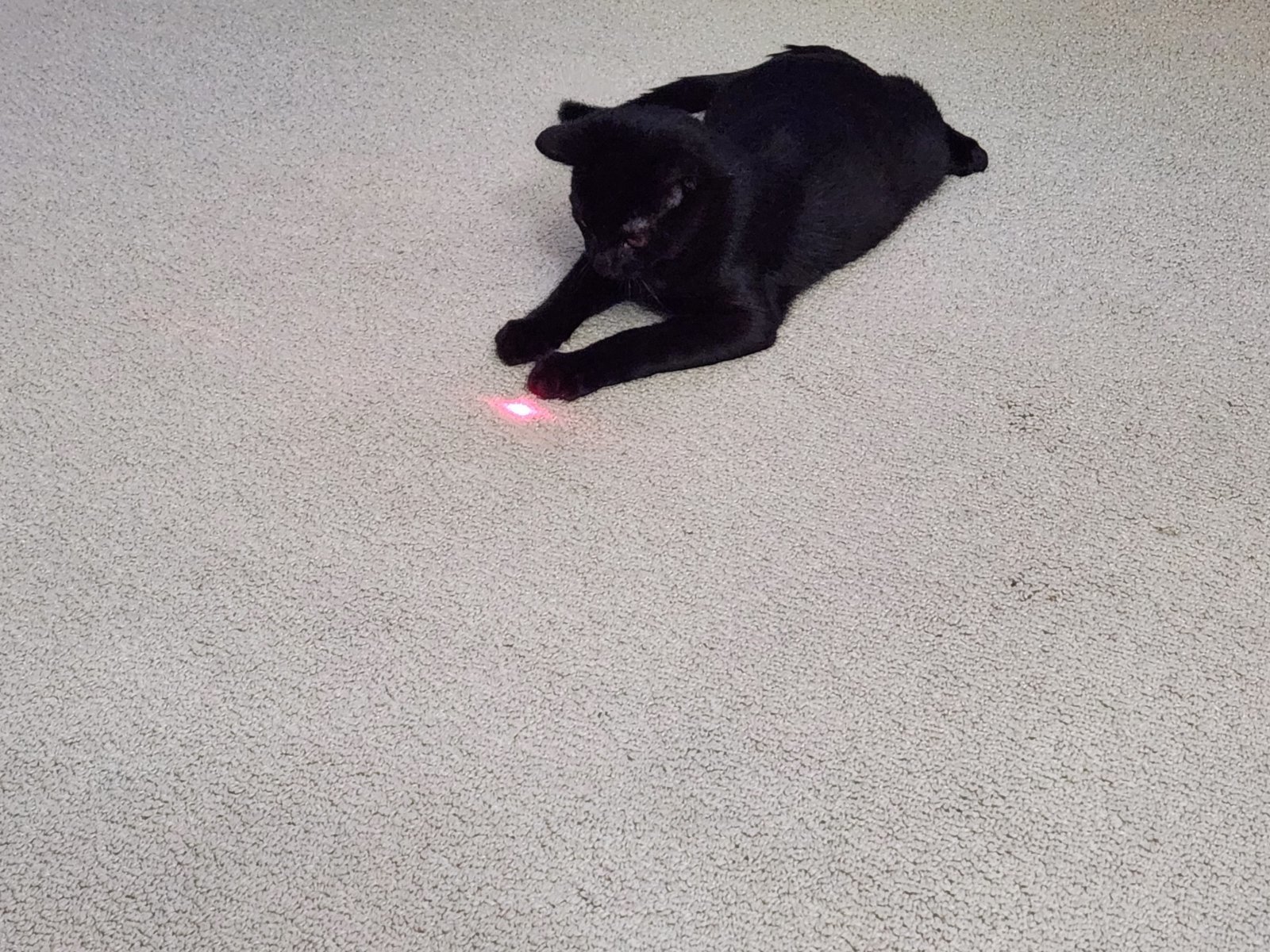 20240119_180523.jpg