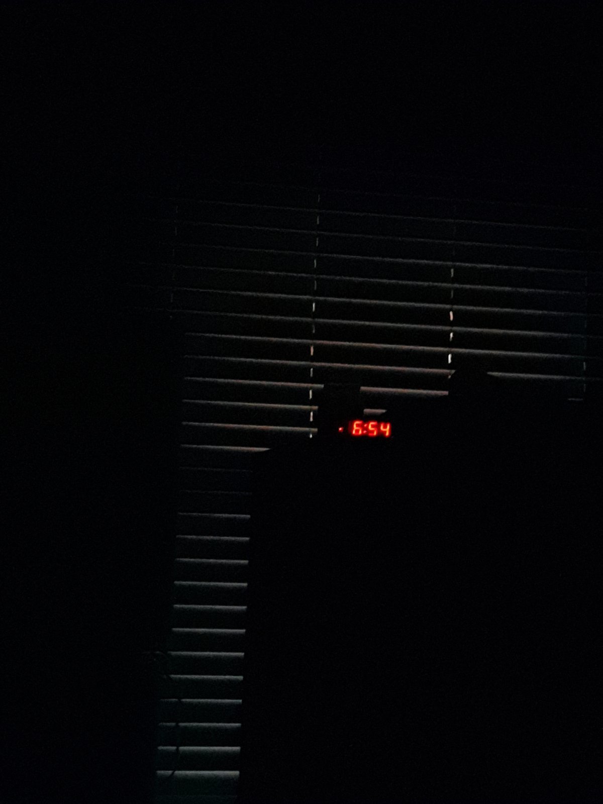 20240126_065442.jpg