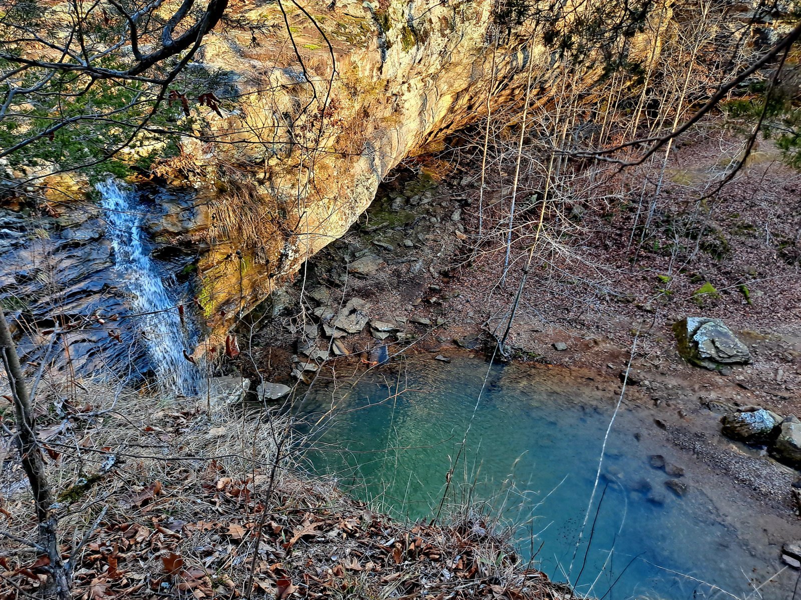 20240131_155644.jpg