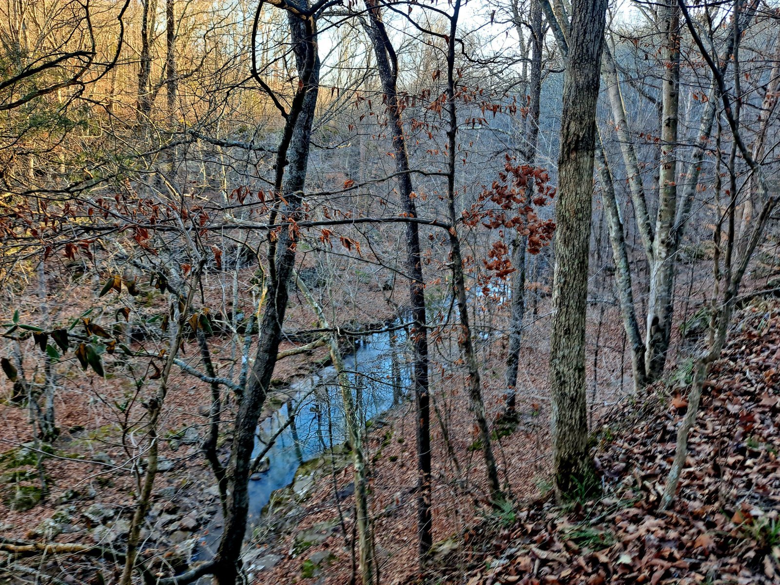 20240131_155811.jpg
