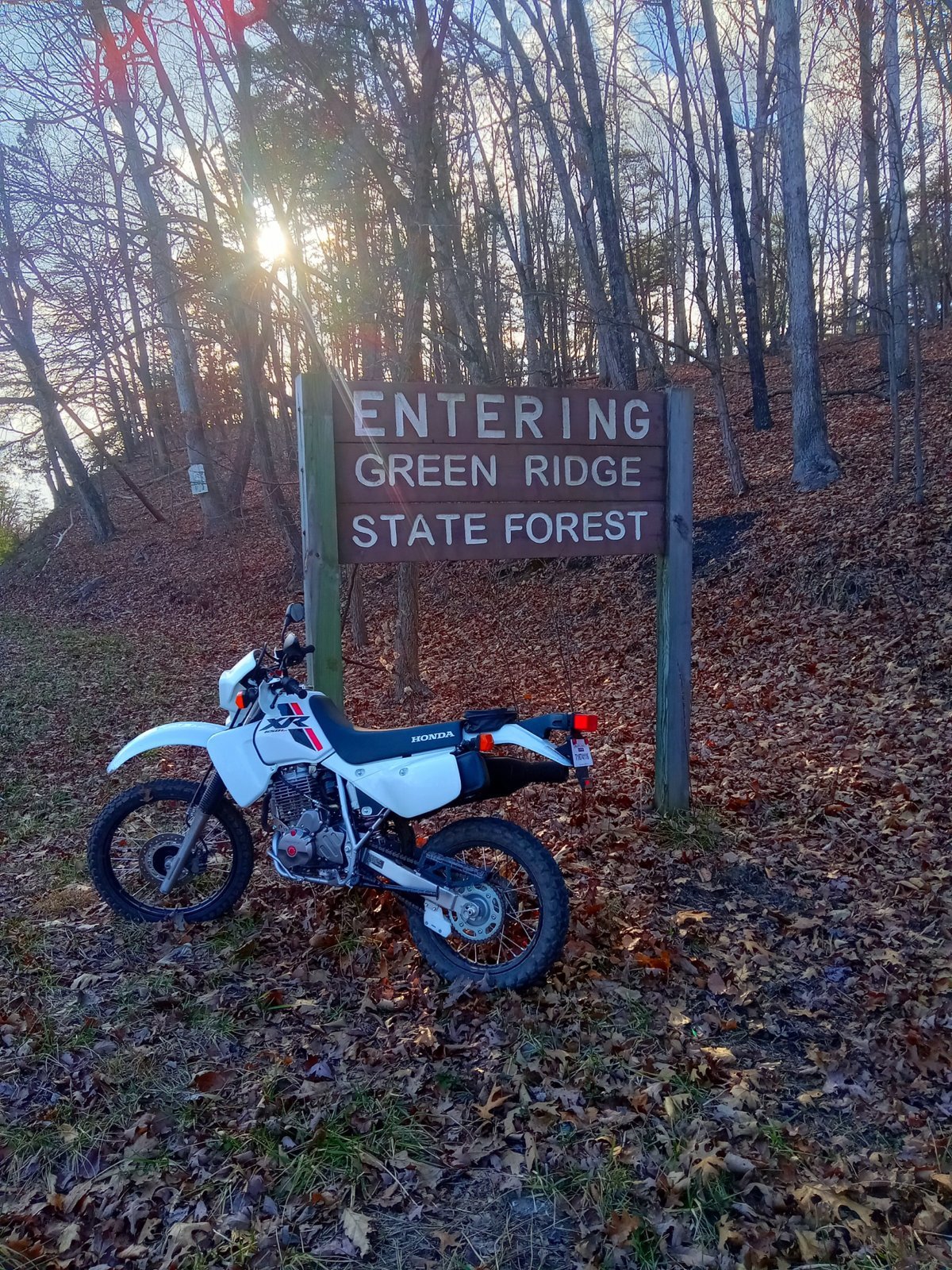 20240209_154450.jpg