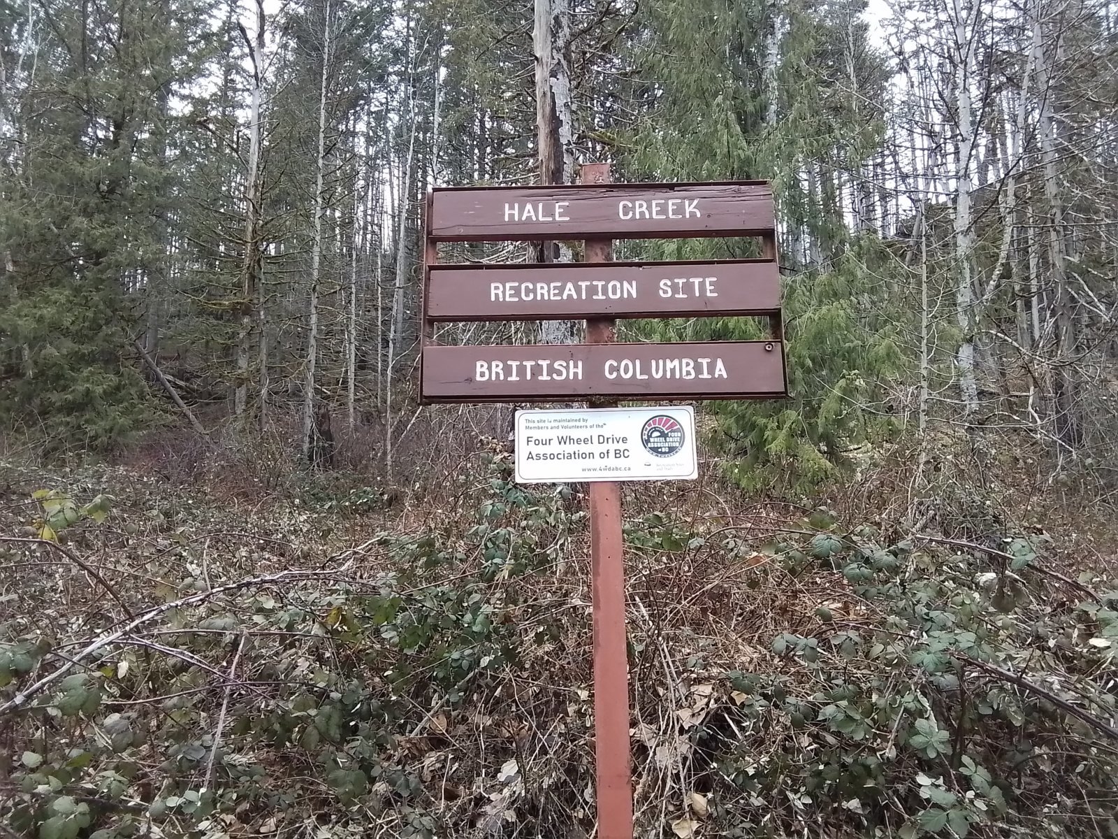 20240210_132303.jpg