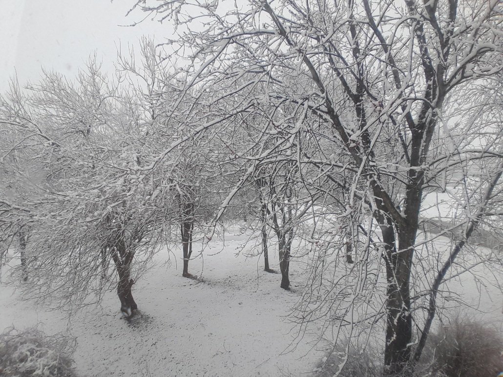 20240213_083312.jpg