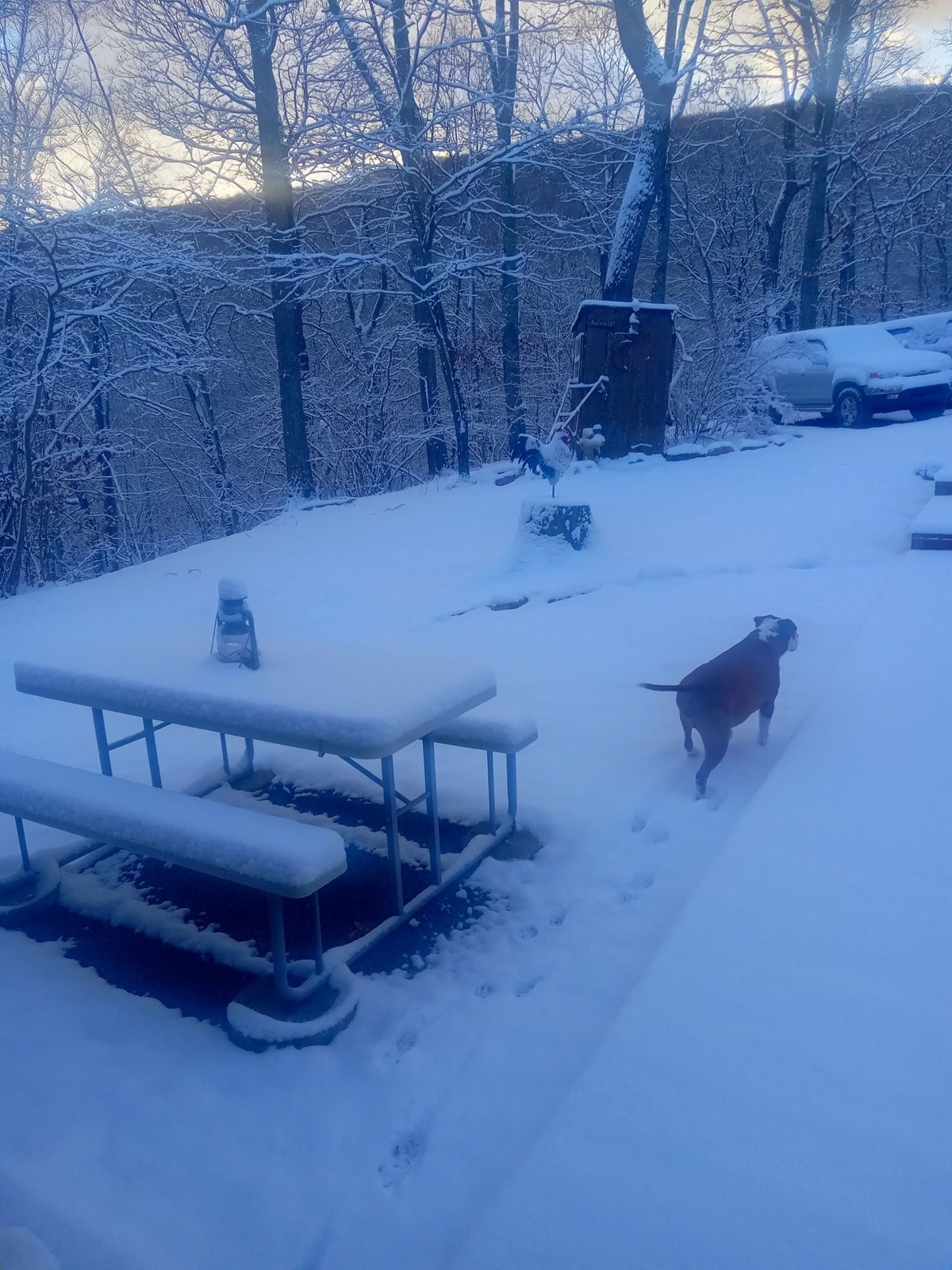 20240217_074742.jpg