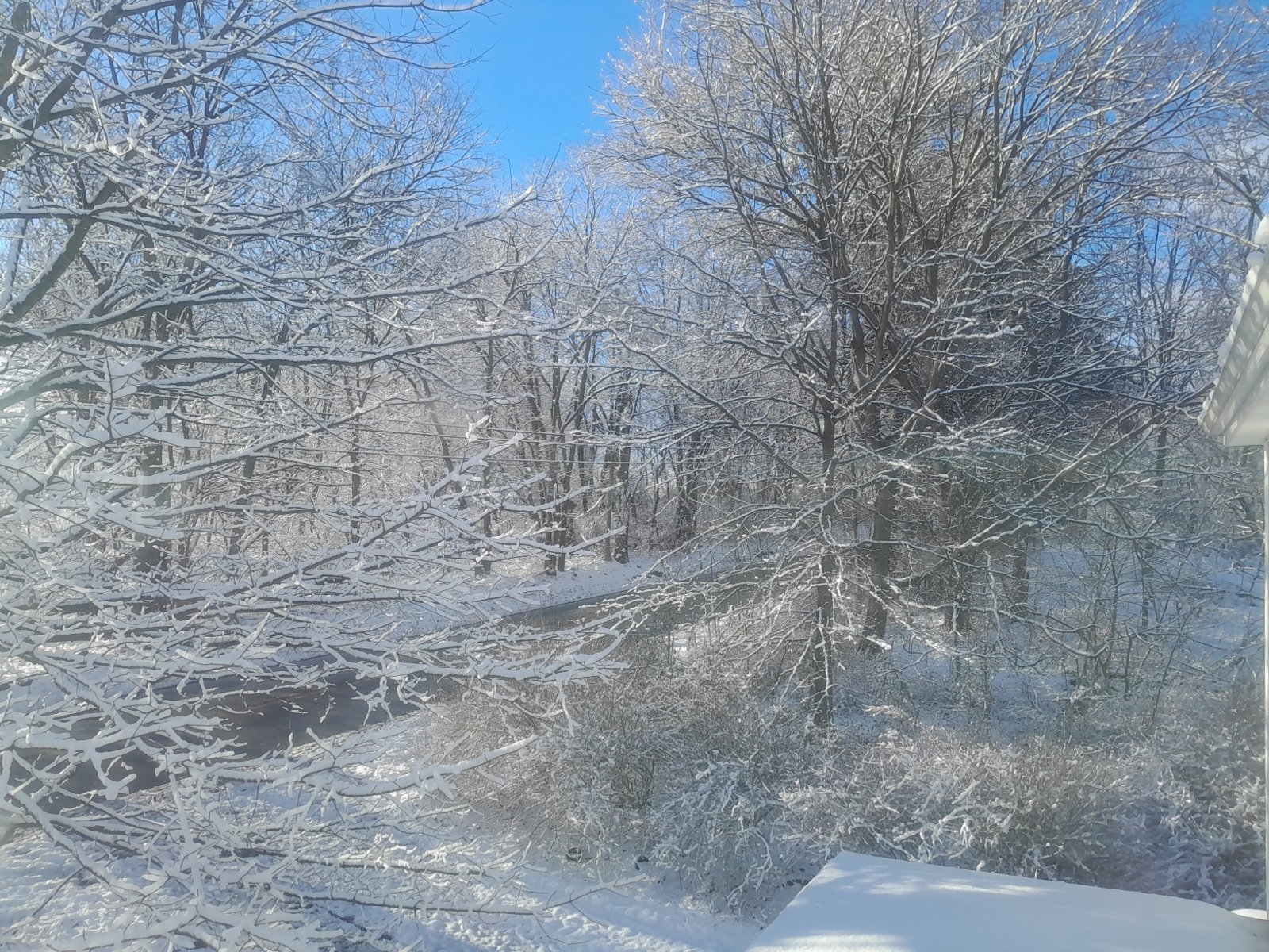 20240217_081438.jpg