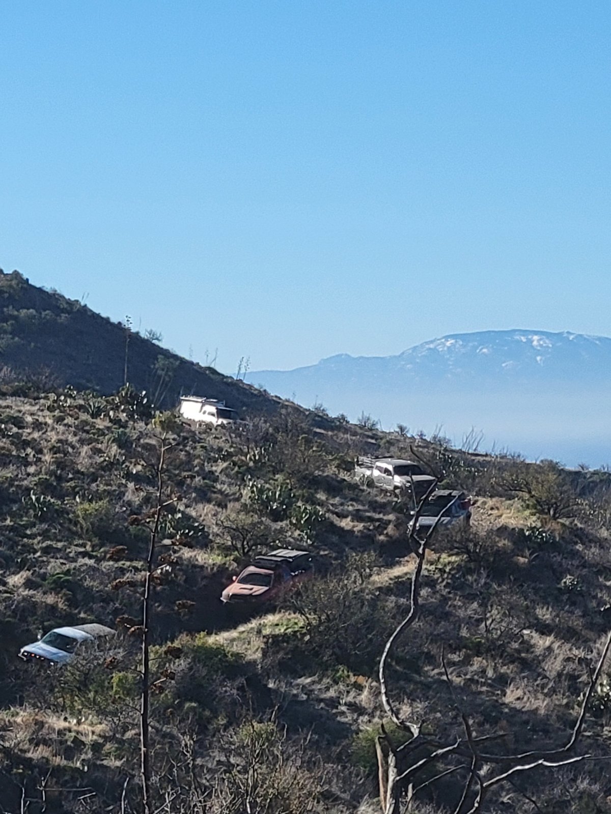 20240217_092925.jpg