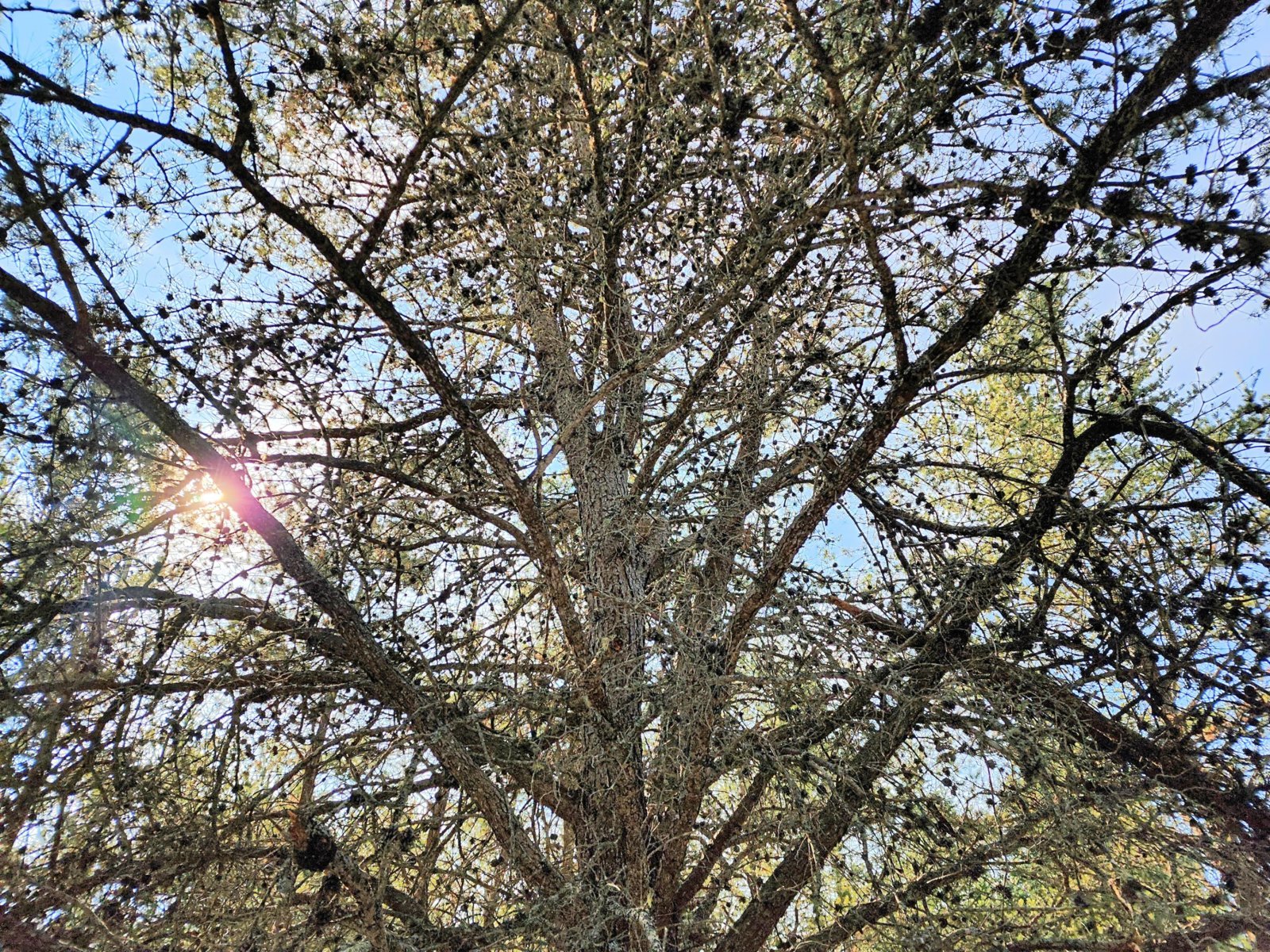 20240220_121518~2.jpg