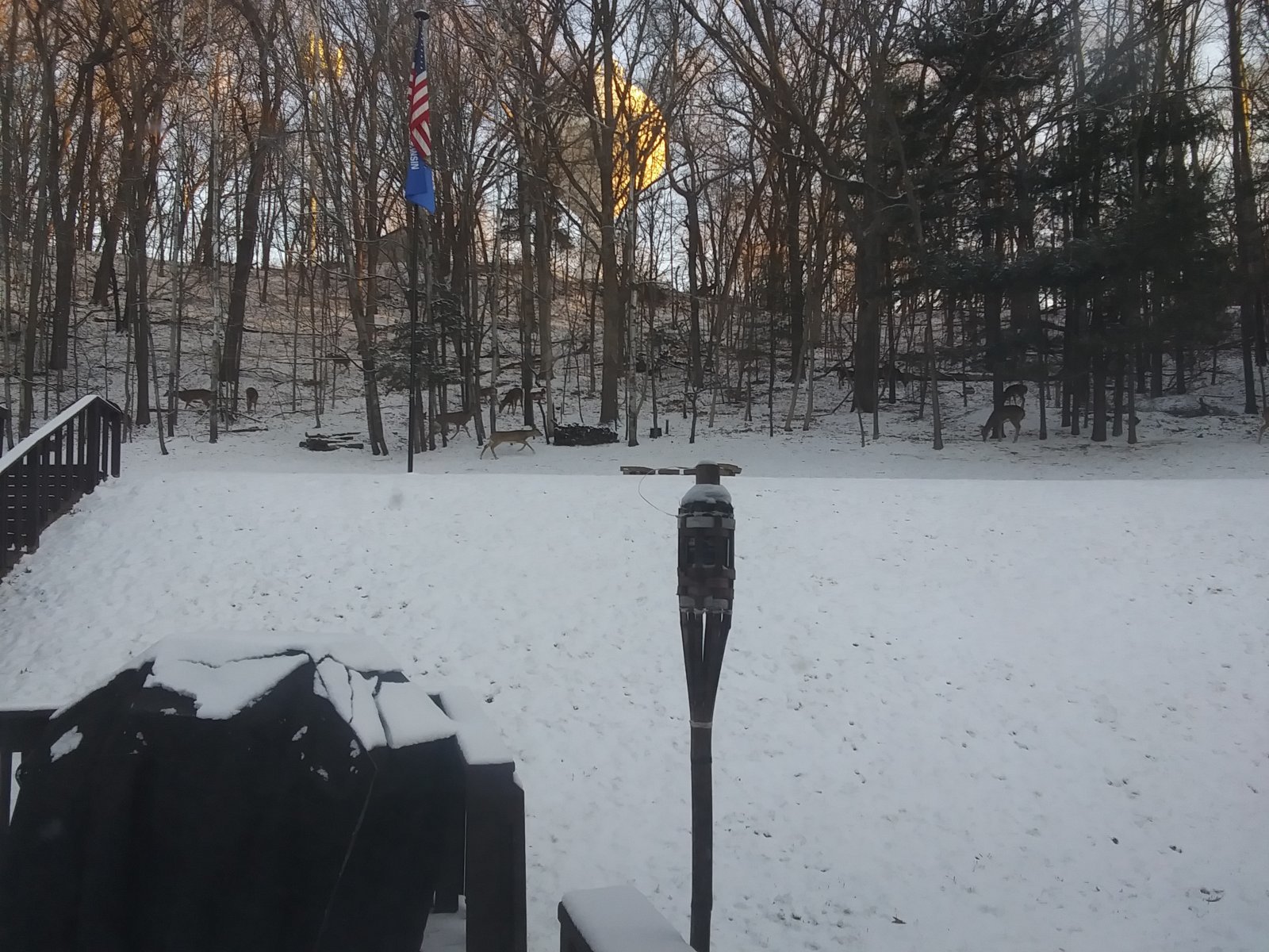 20240228_072219.jpg
