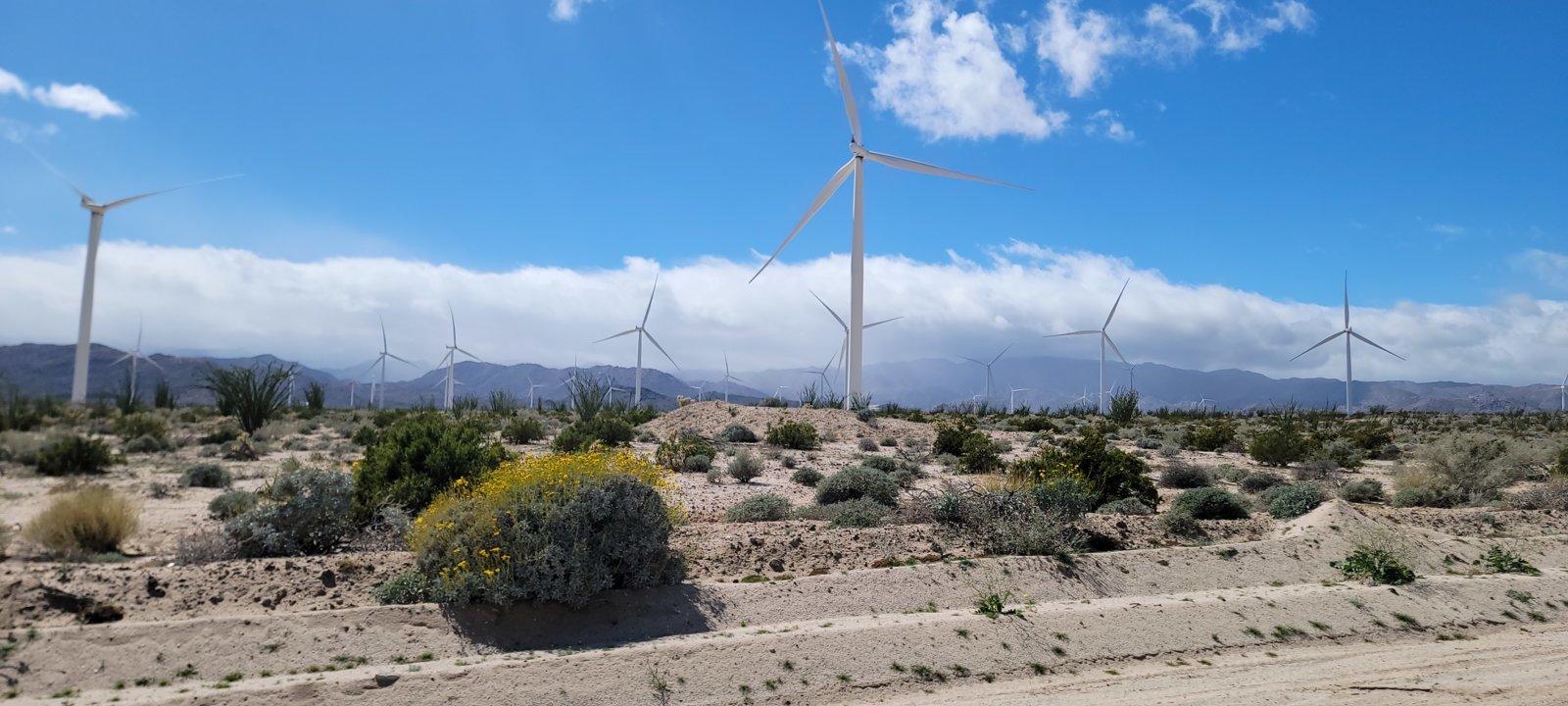 20240303_120459.jpg