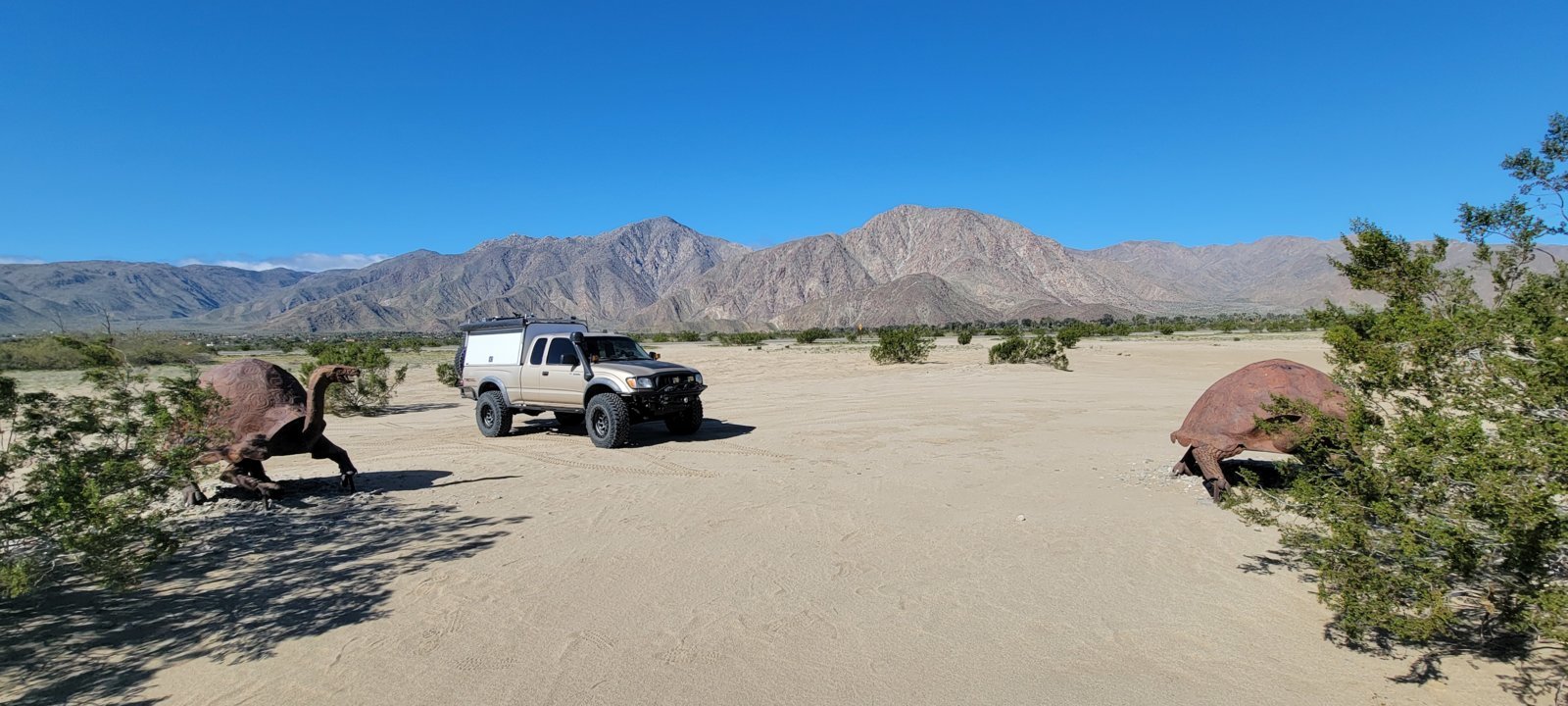 20240304_094507.jpg