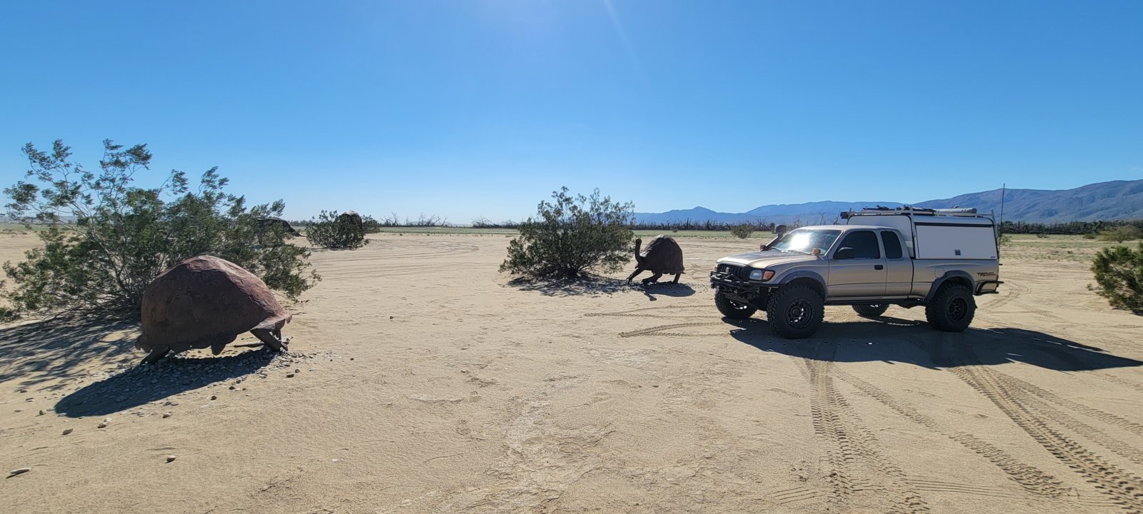 20240304_094526.jpg