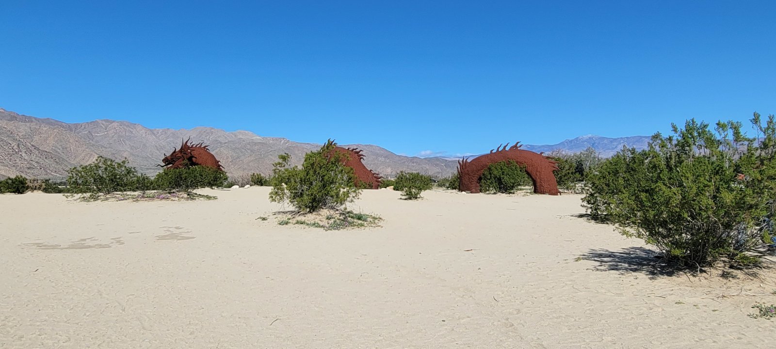 20240304_100111.jpg