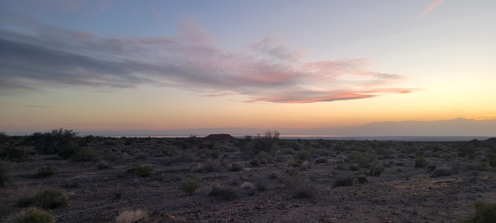20240304_175021.jpg