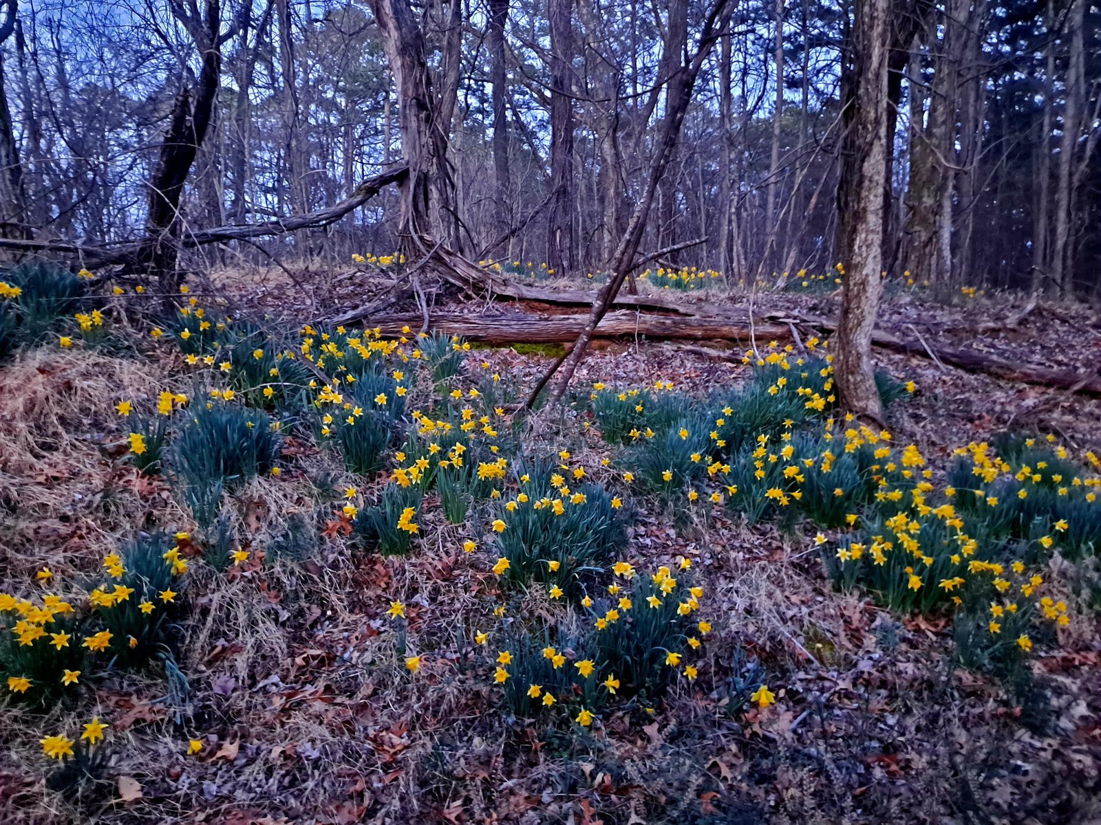 20240304_180005.jpg