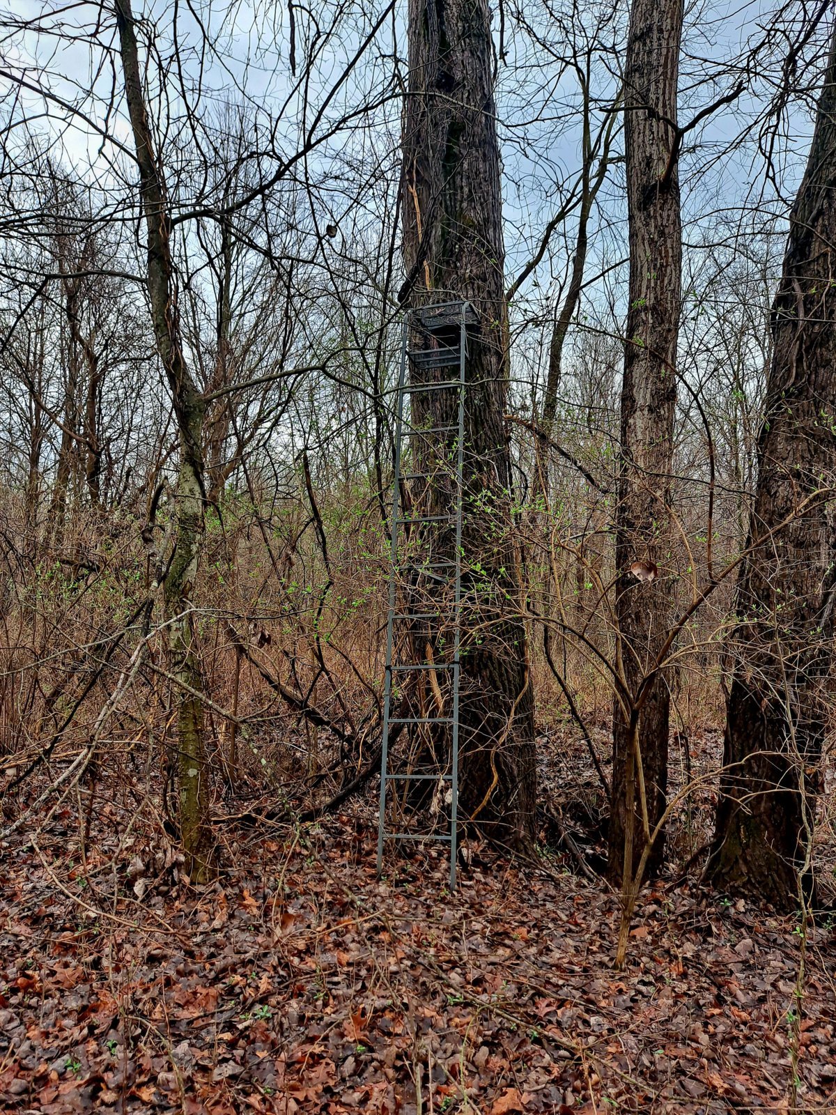 20240308_122345.jpg