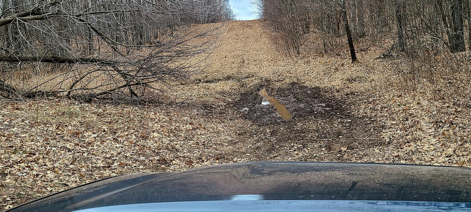 20240316_093233.jpg