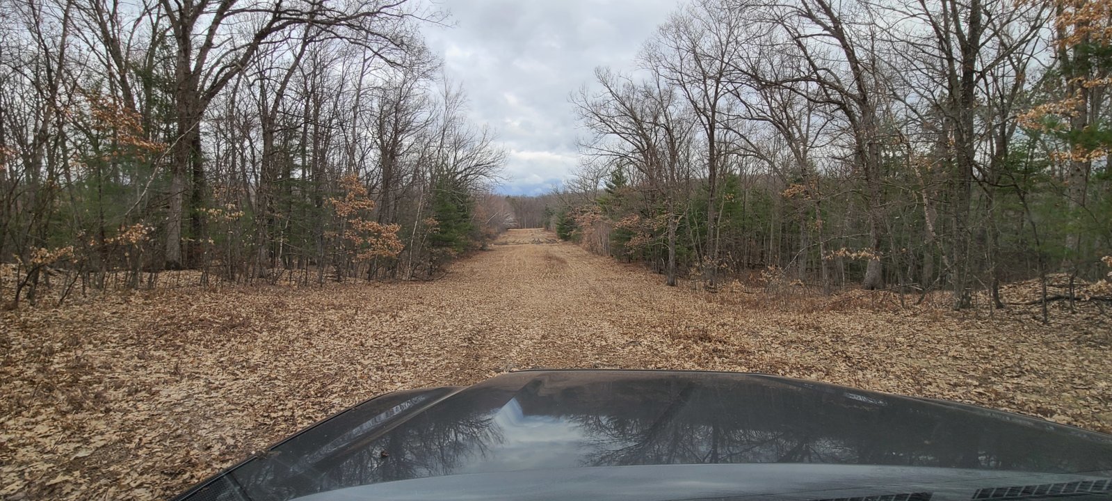 20240316_094124.jpg