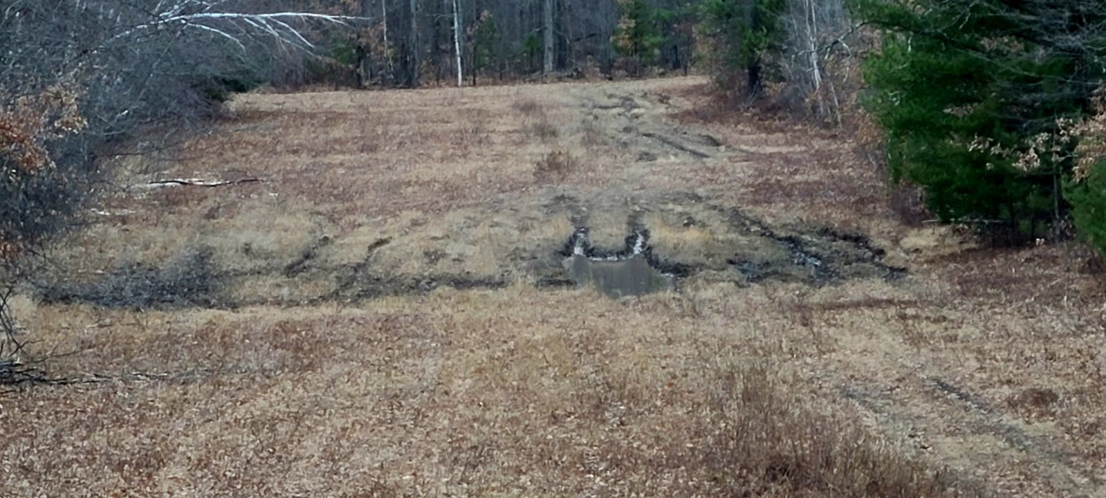 20240316_094133.jpg
