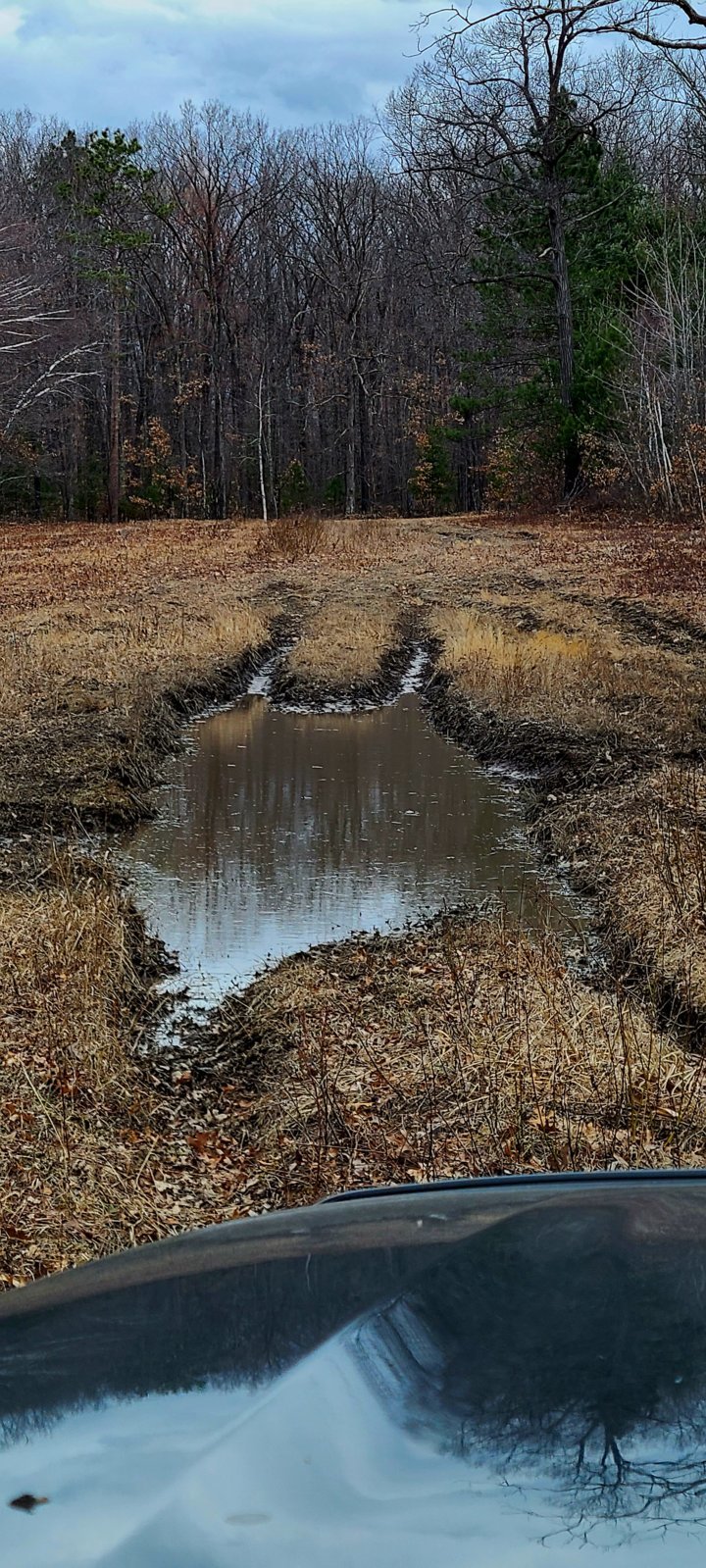 20240316_094455.jpg