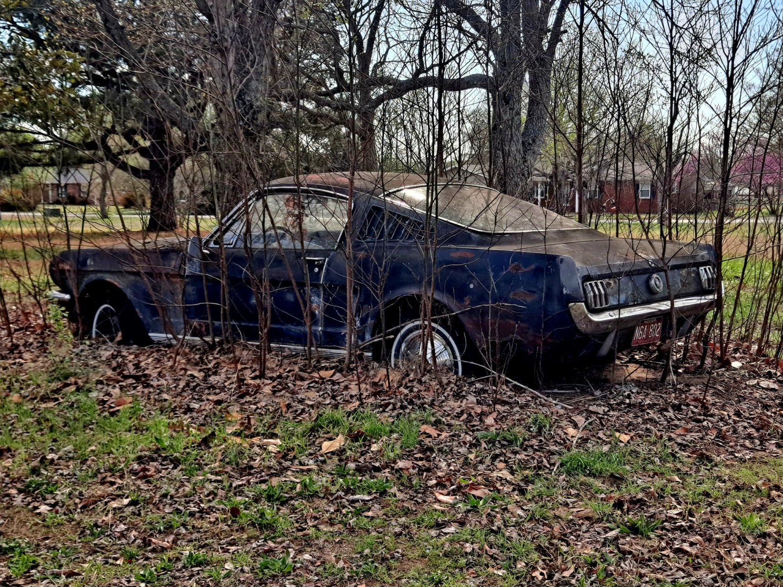 20240316_161603.jpg