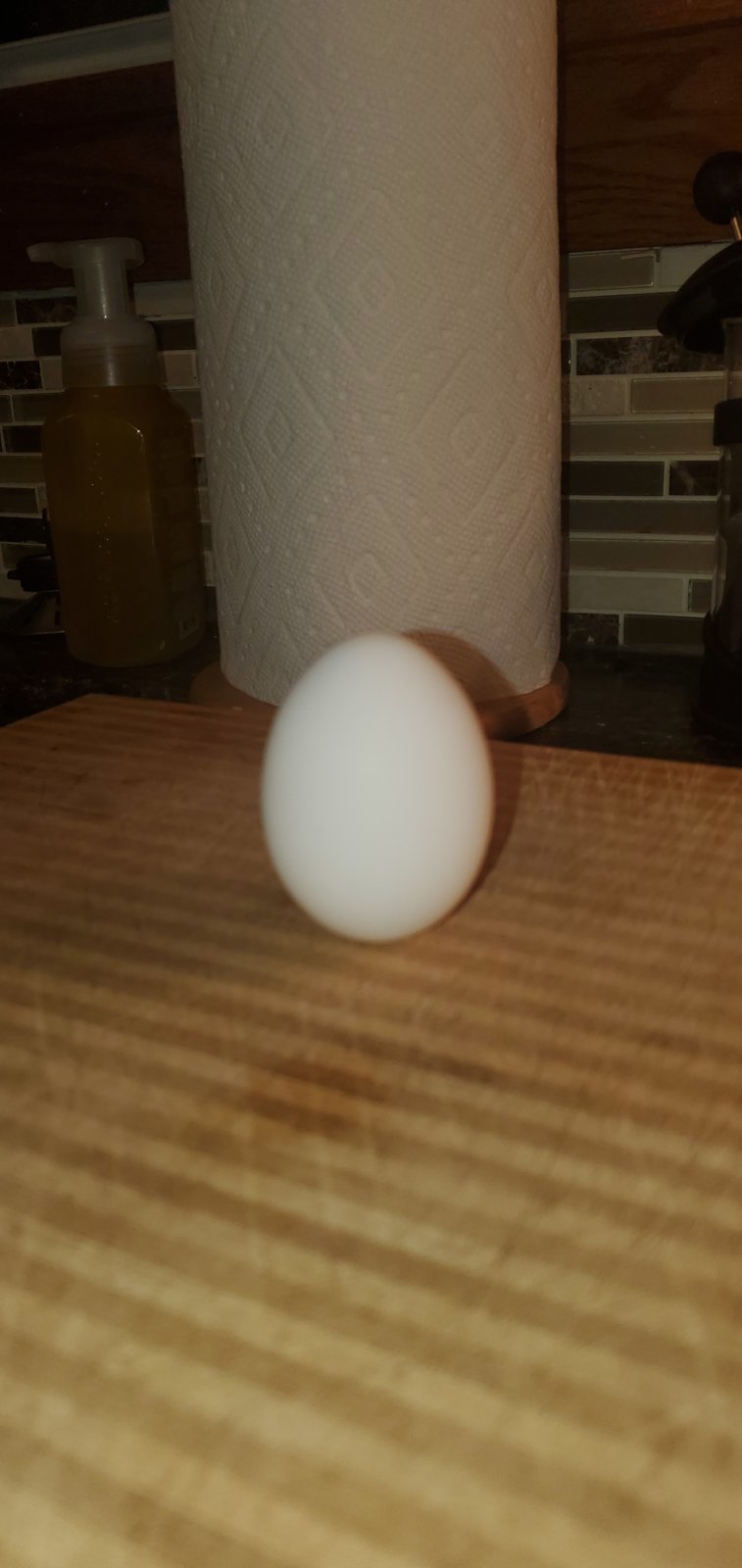 20240318_231323.jpg
