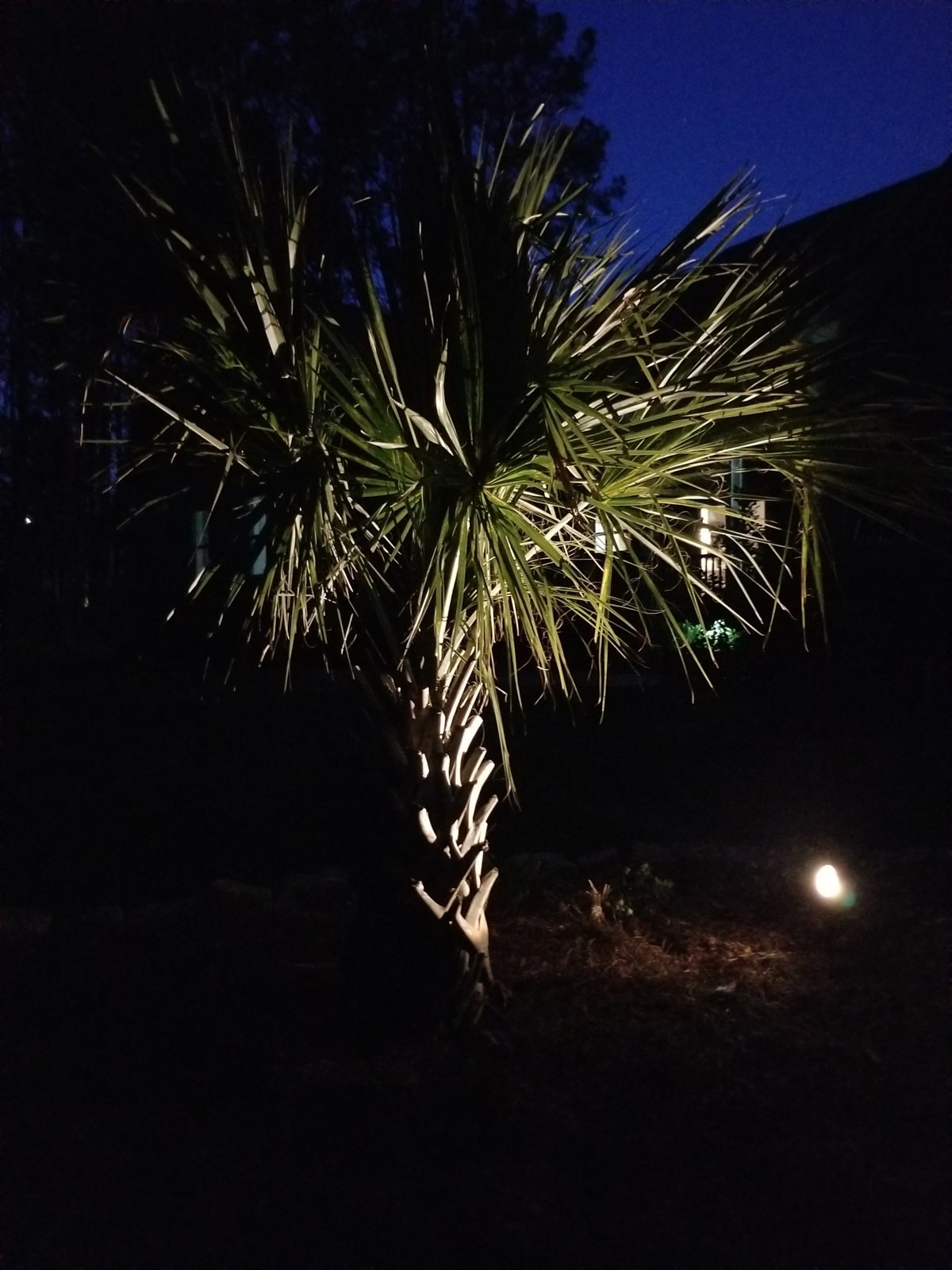 20240320_201241.jpg