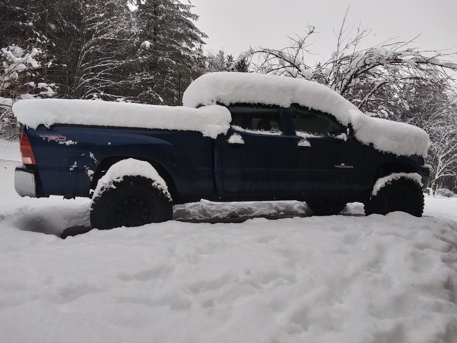 20240325_090714_HDR.jpg