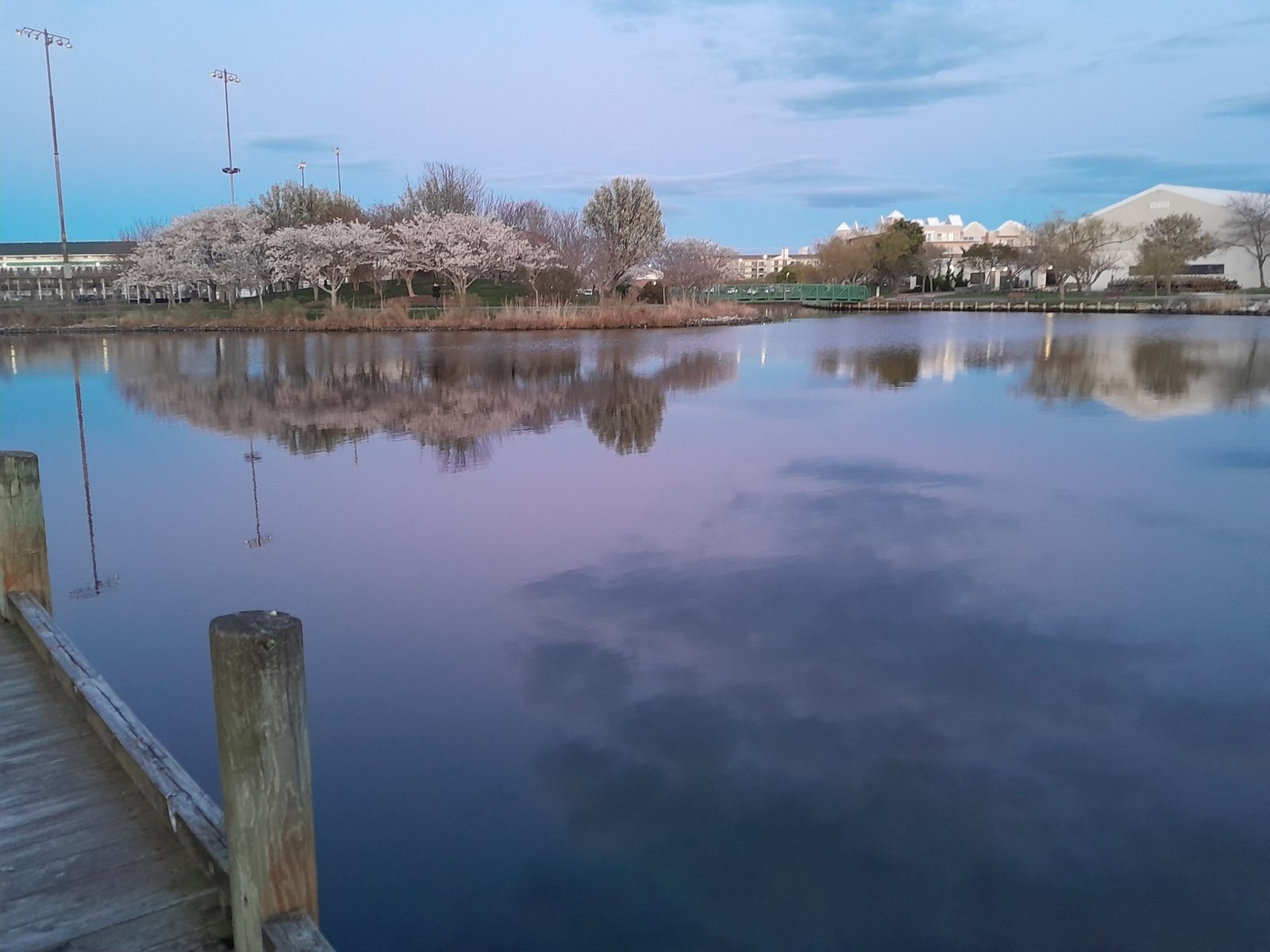 20240406_194043.jpg
