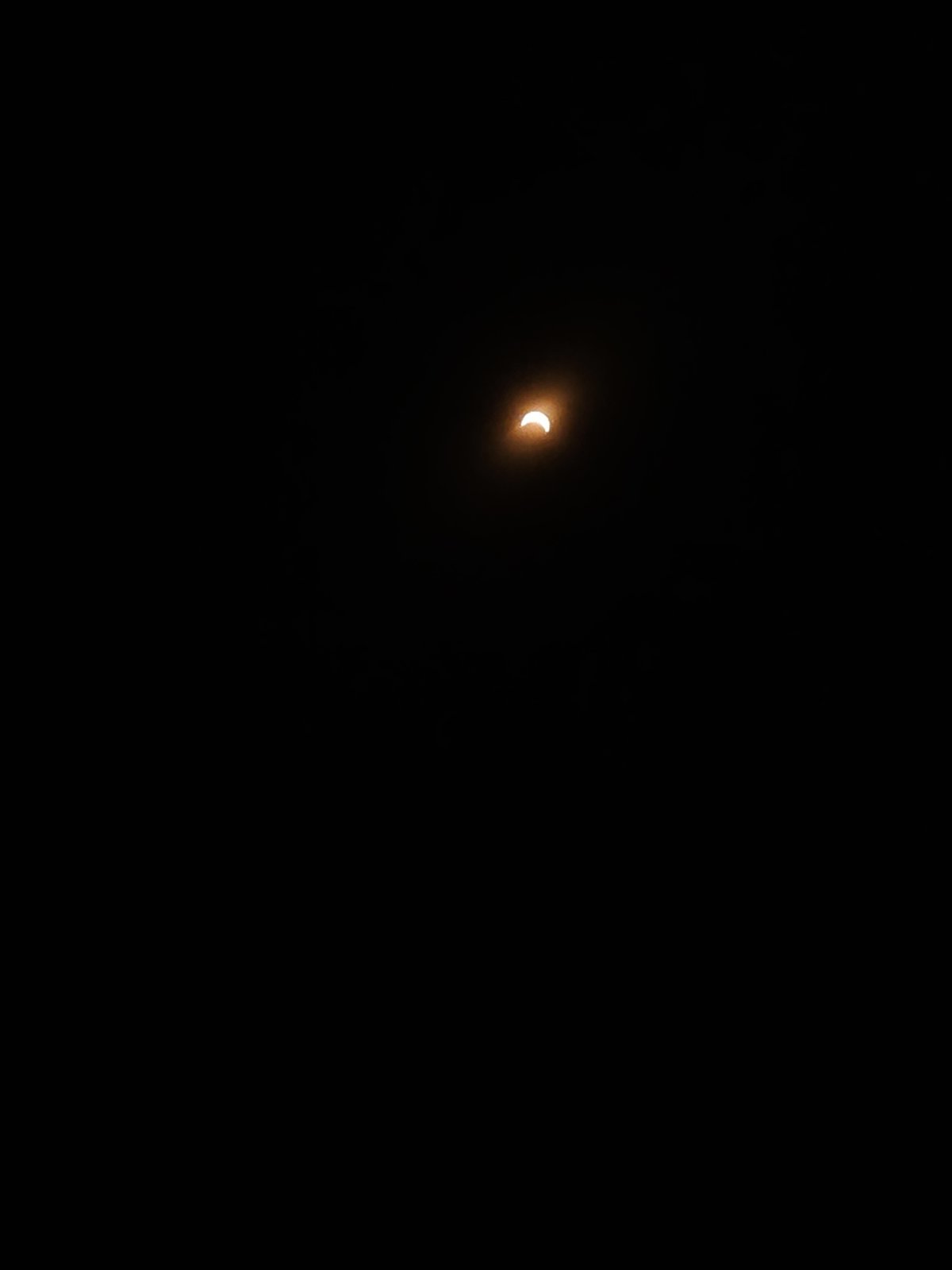 20240408_123526.jpg