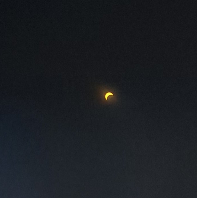 20240408_133411.jpg