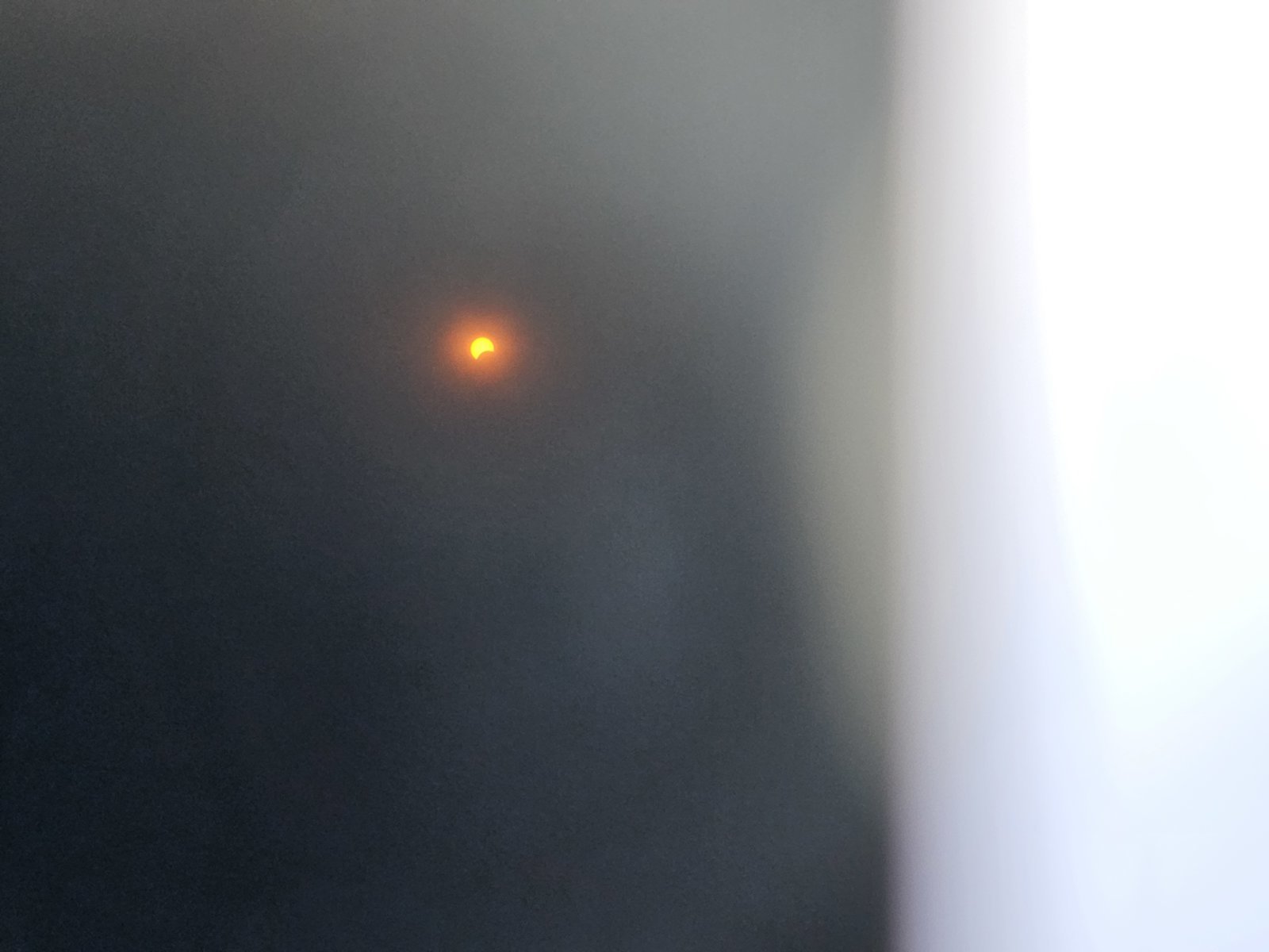 20240408_144856.jpg