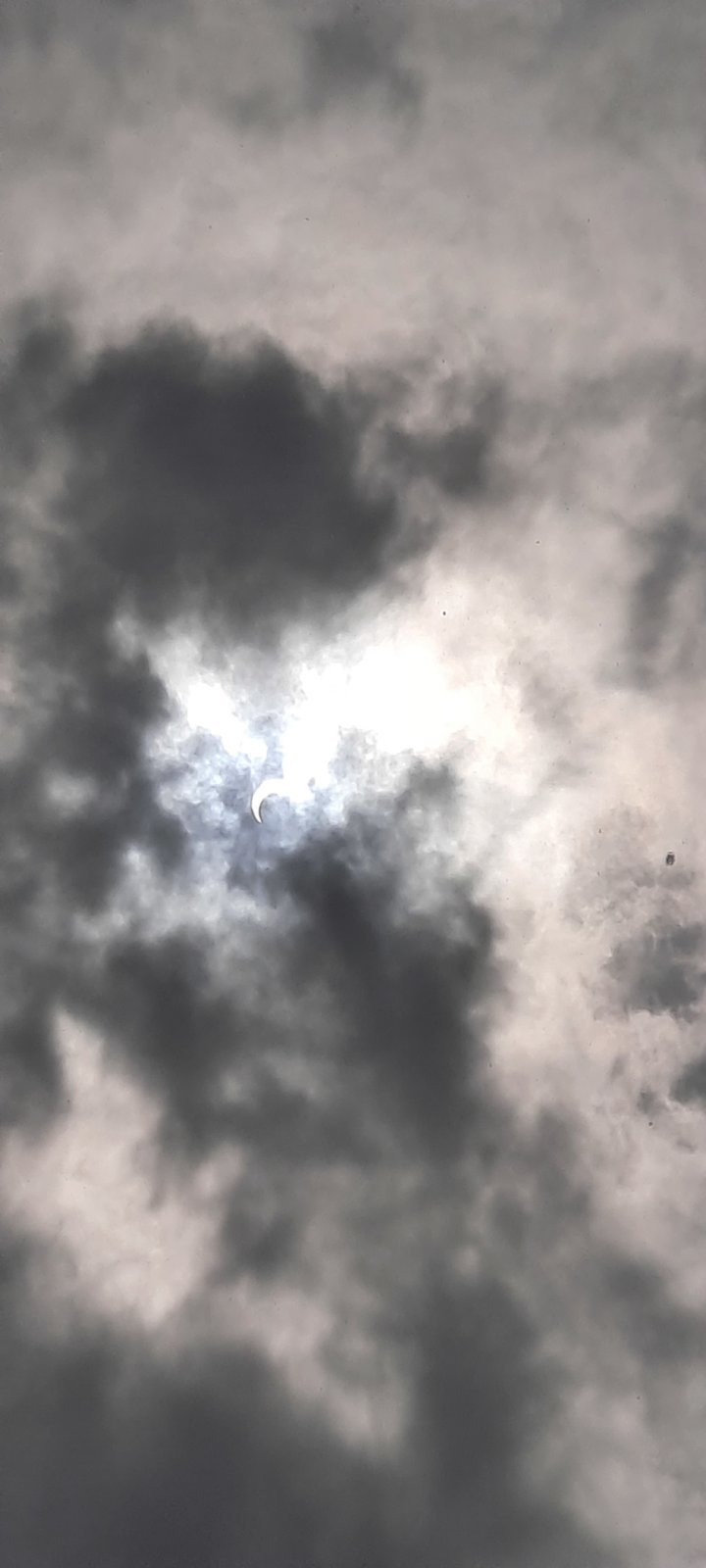 20240408_150111.jpg