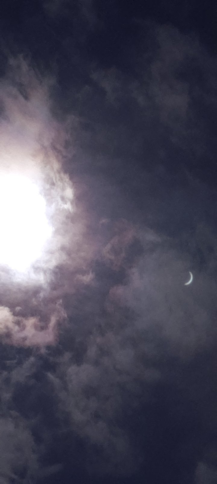 20240408_151115.jpg
