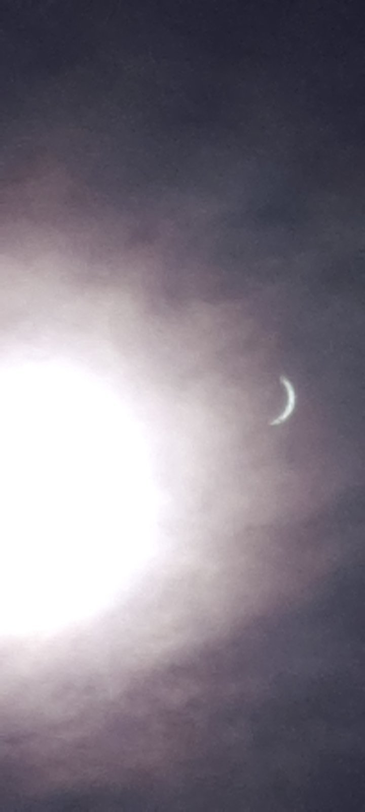 20240408_151247.jpg