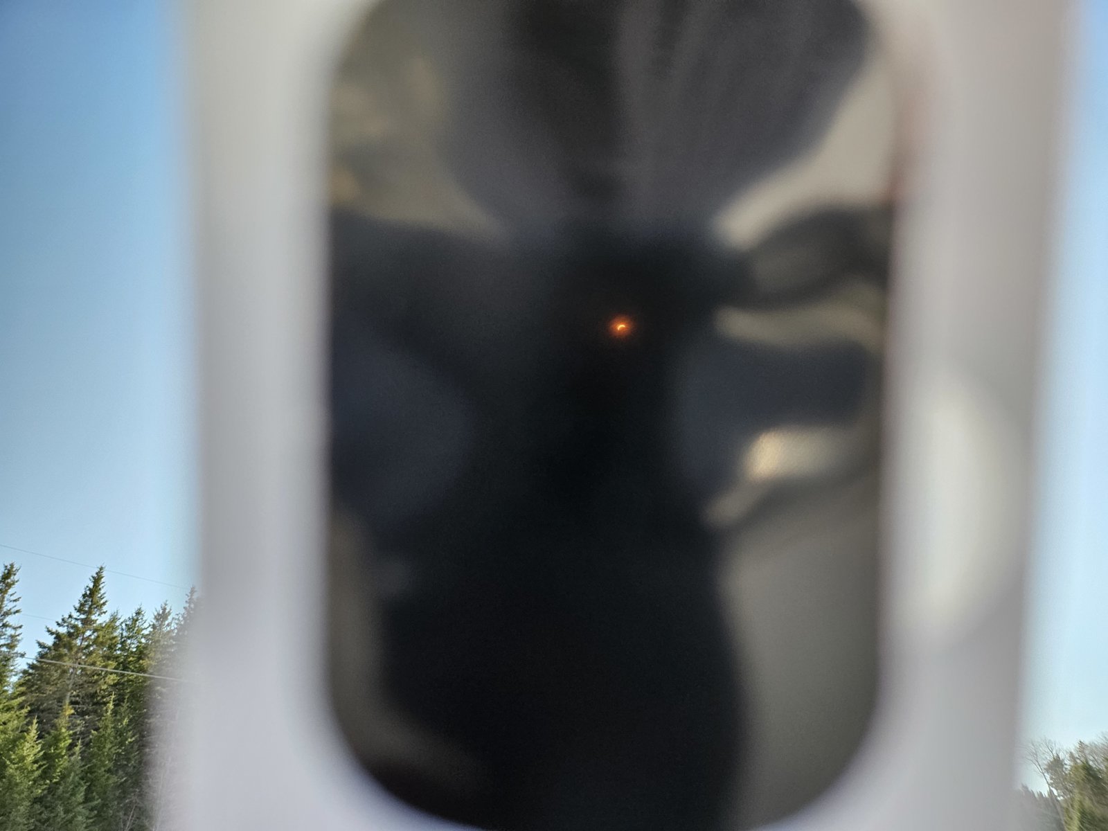 20240408_152744.jpg