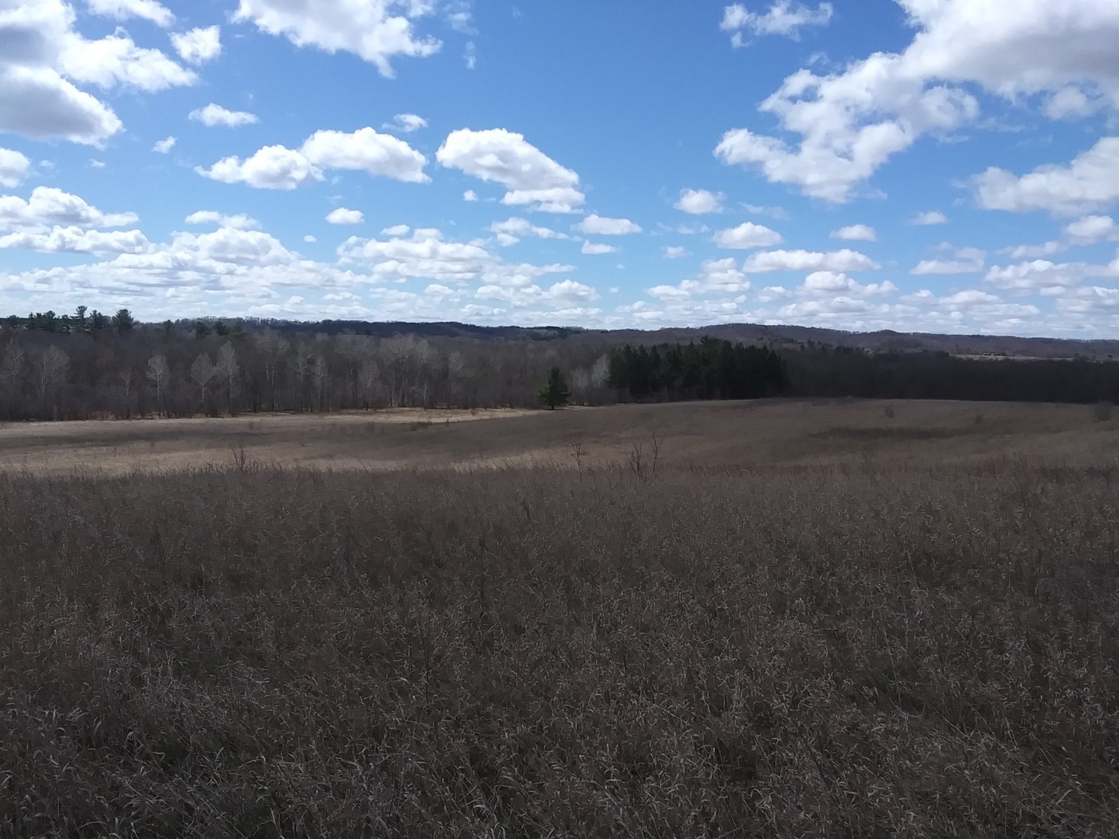 20240412_123844.jpg