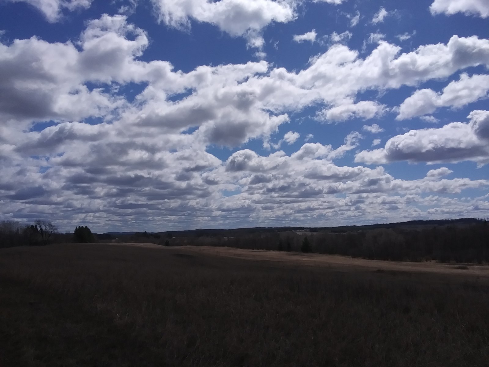 20240412_123851.jpg