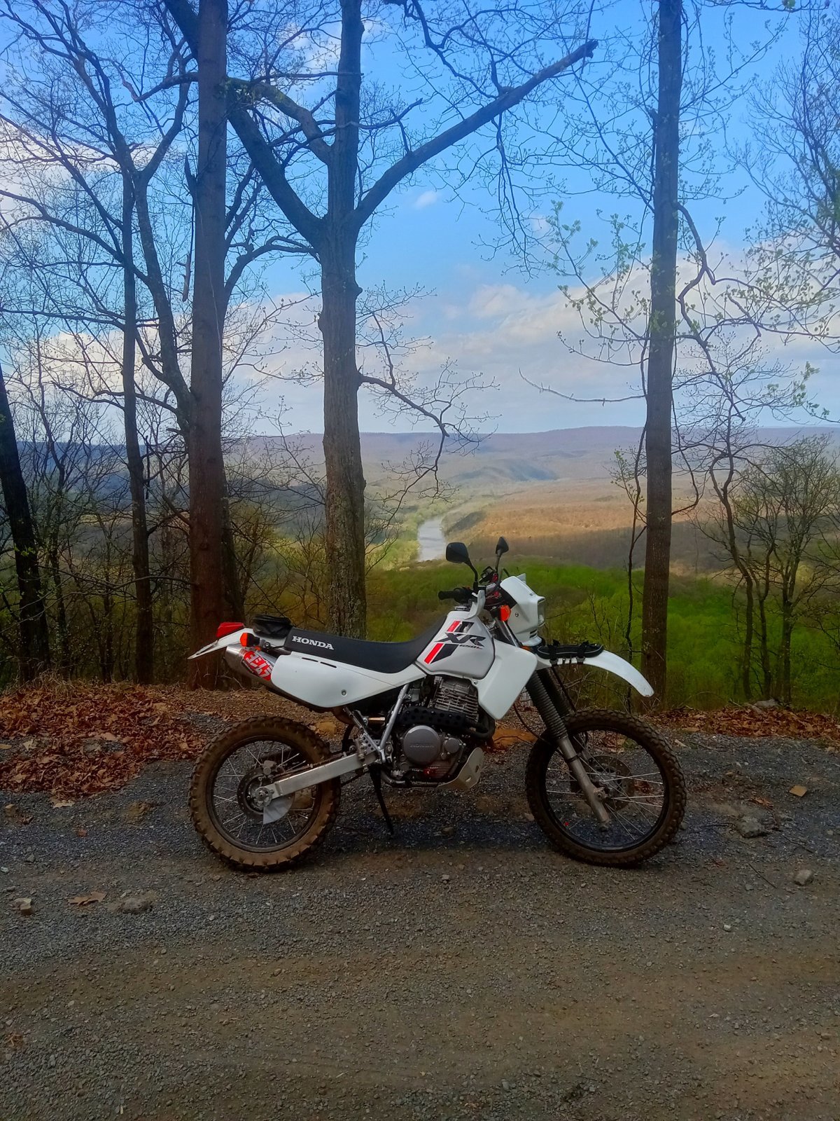 20240415_120842.jpg