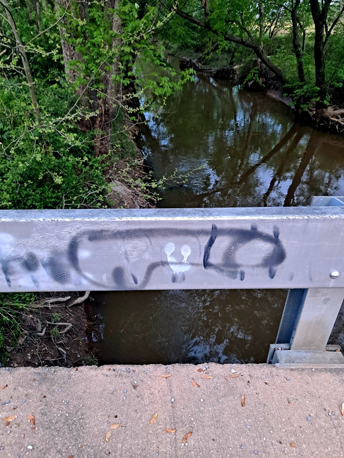 20240415_192742.jpg